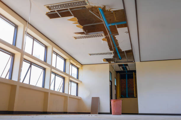 Best Sewage cleanup and water damage restoration  in Colonial Pine Hills, SD