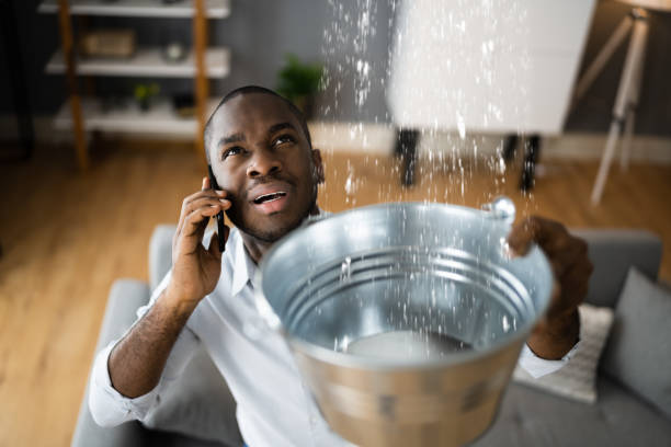 Best Mold removal after water damage  in Colonial Pine Hills, SD