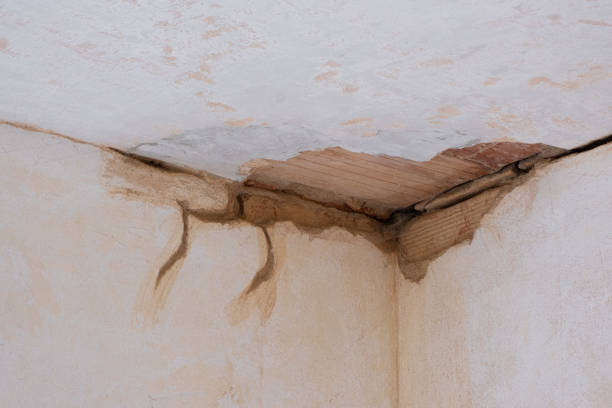 Best Professional water damage repair  in Colonial Pine Hills, SD