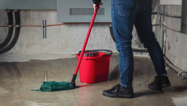 Best Flood restoration services  in Colonial Pine Hills, SD