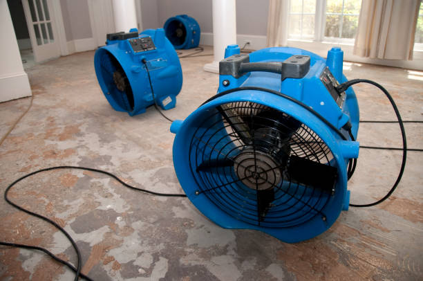Carpet water damage restoration in Colonial Pine Hills, SD