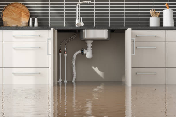 Best Water damage restoration near me  in Colonial Pine Hills, SD